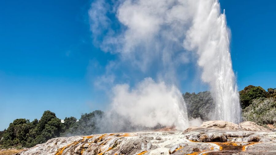 Auckland: Hobbiton and Rotorua Day Tour including Te Puia - Te Puia’s geysers and Māori culture