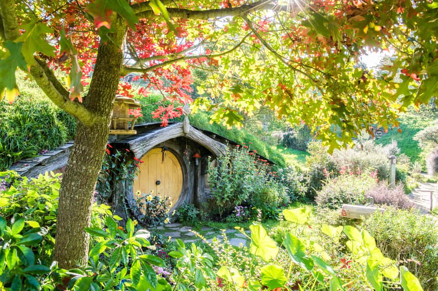 Auckland: Hobbiton Movie Set Tour with Lunch - Why the Auckland to Hobbiton journey works