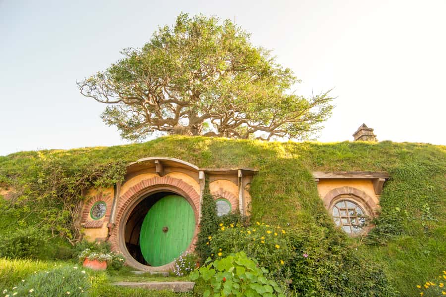 Auckland: Hobbiton Movie Set Tour with Lunch - The $245 price and what you receive