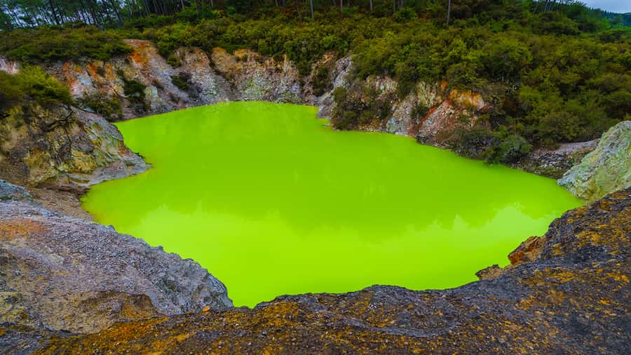 Auckland: Hobbiton, Rotorua and Wai-O-Tapu Day Tour - Rotorua highlights in a short visit