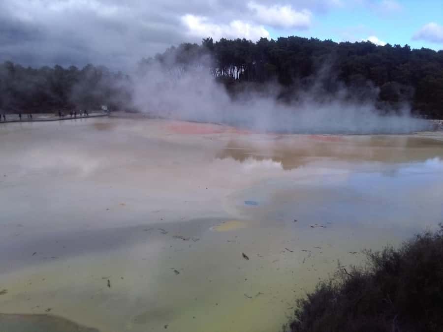 Auckland: Hobbiton, Rotorua, Waiotapu and Waitomo 3-Day Tour - Day 1: Hobbiton, Te Puia, and Mitai