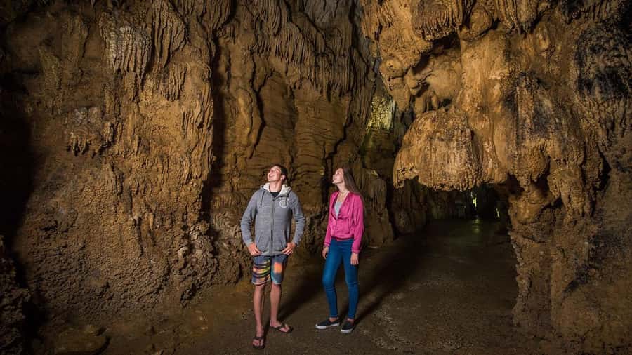 Auckland: Hobbiton, Waitomo Caves, and Rotorua 1-Way Tour - A quick stop near Big Bird