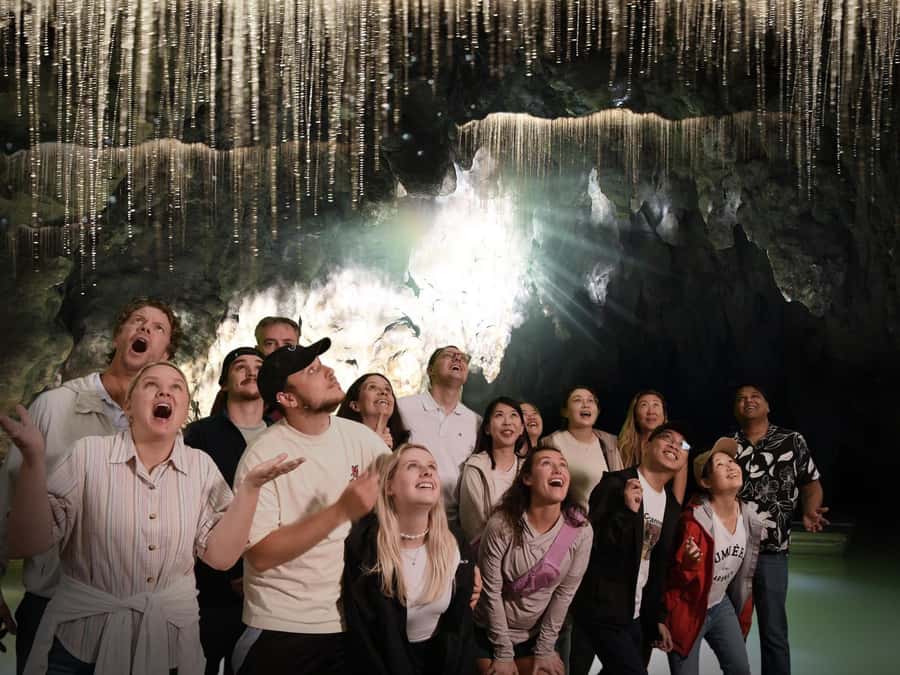 Auckland: Hobbiton & Waitomo Caves Small-Group Tour & Lunch - Who should book this tour?