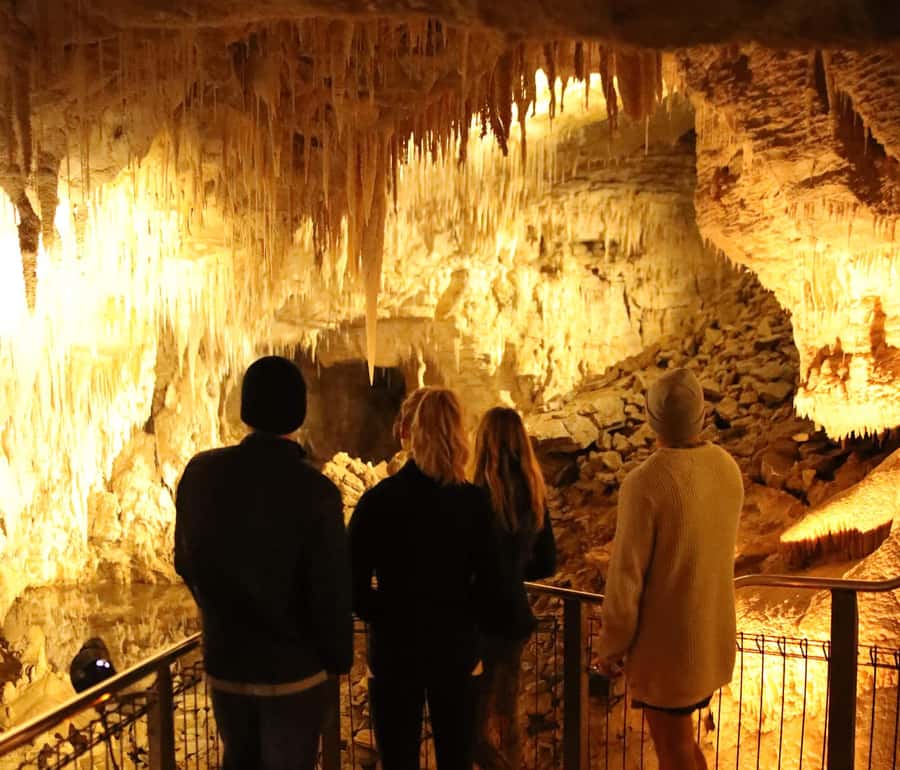 Auckland: Hobbiton & Waitomo Glow Worm Caves Private Tour - Who will get the most from this tour?
