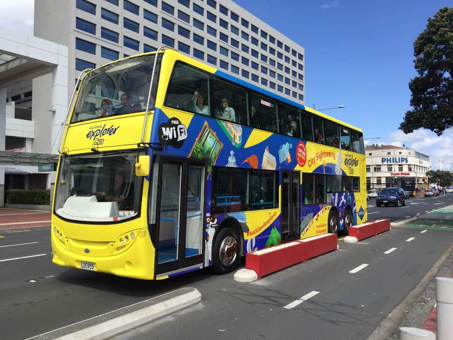 Auckland: Hop-On Hop-Off Explorer Bus Ticket - Blue Route: Mt Eden, the Domain, the zoo, and MOTAT