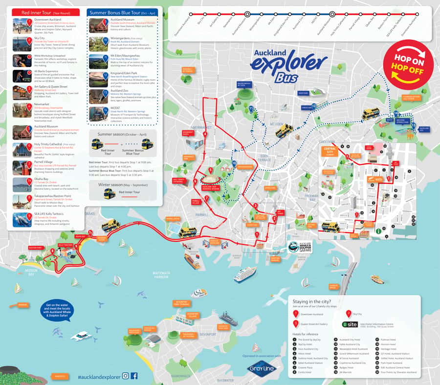 Auckland: Hop-On Hop-Off Explorer Bus Ticket - How to make the one-day ticket pay off