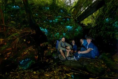 Inner-City Glowworm Experience in Ancient Volcano