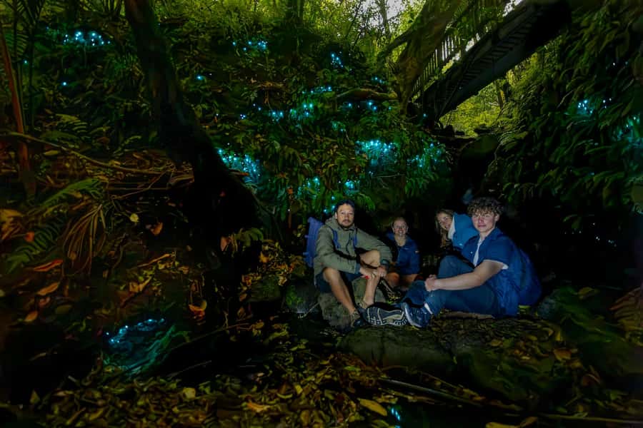 Auckland: Inner-City Glowworm Experience in Ancient Volcano - Meeting at Wintergarden Cafe in Auckland Domain