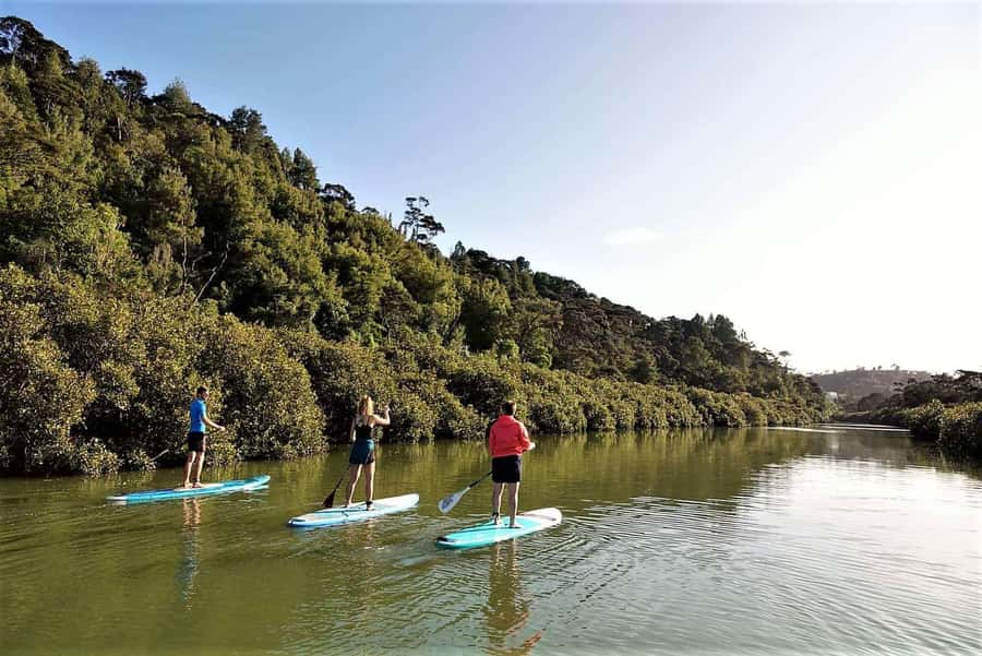 Auckland: Lucas Creek Waterfall SuP Tour - Key points to know before you book