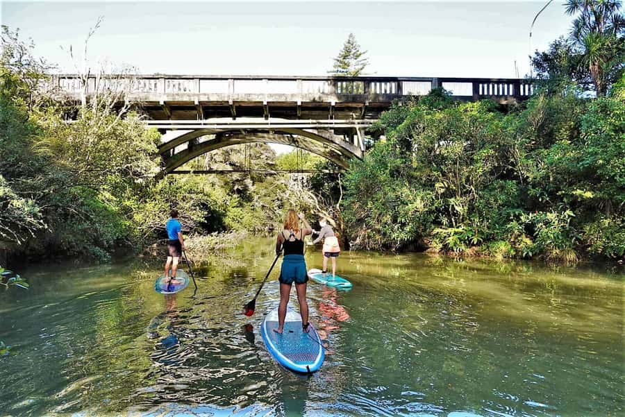Auckland: Lucas Creek Waterfall SuP Tour - Why Lucas Creek Waterfall makes a good short Auckland outing