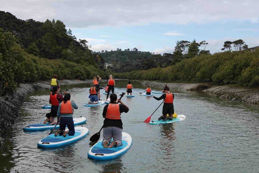 Auckland: Lucas Creek Waterfall SuP Tour - Is $65 good value for two hours?