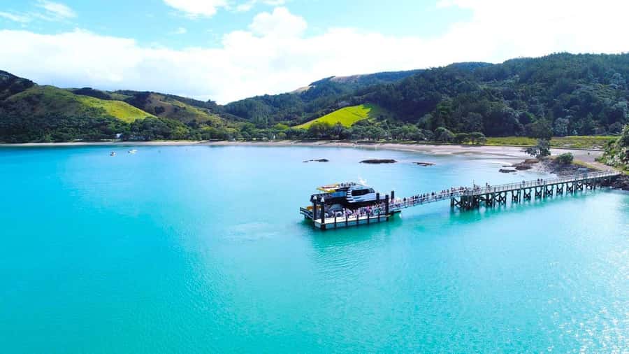 Auckland: Man O' War Vineyard Ferry (Waiheke Island) - Three and a half hours to eat, taste, and slow down