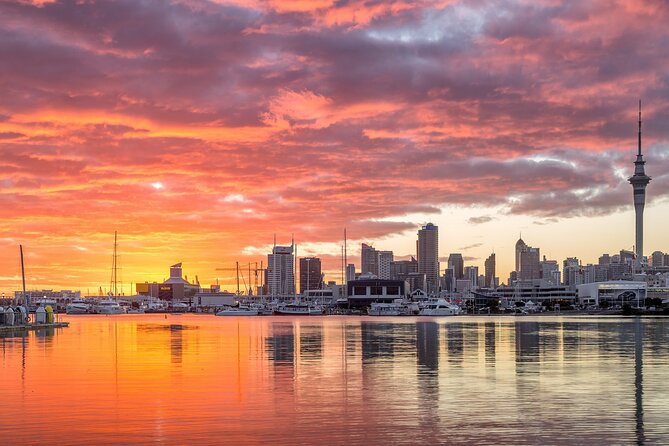 Auckland Māori Culture Experience - Private Tour - What the private vehicle and included meals add