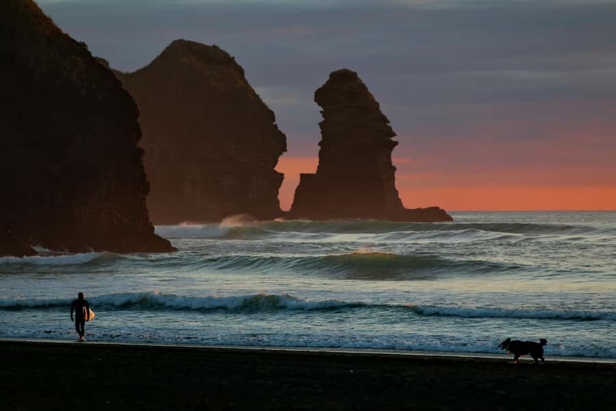 Auckland: Mt. Eden, Piha Beach & Karekare Private Tour - Key points to know before you book