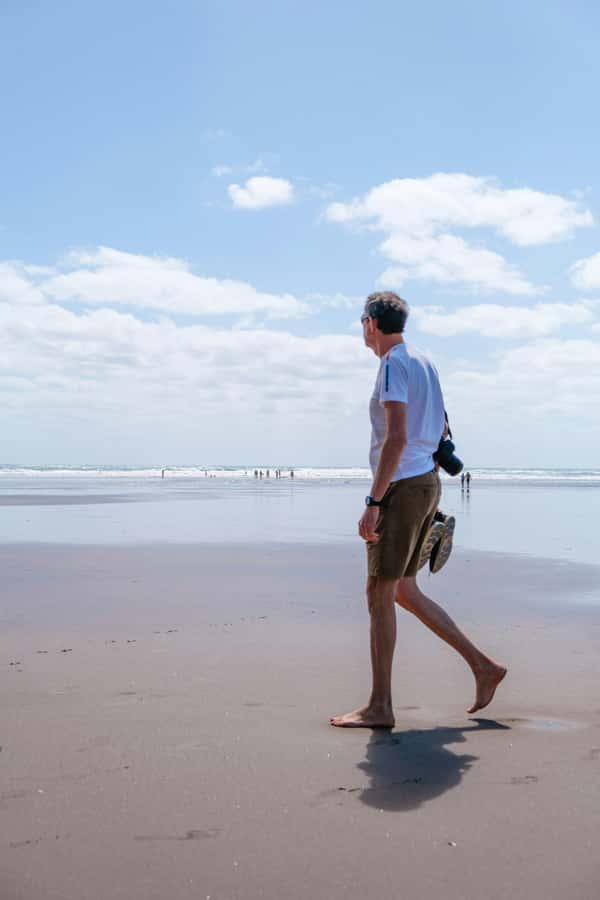 Auckland: Mt. Eden, Piha Beach & Karekare Private Tour - Why this private Auckland tour works so well