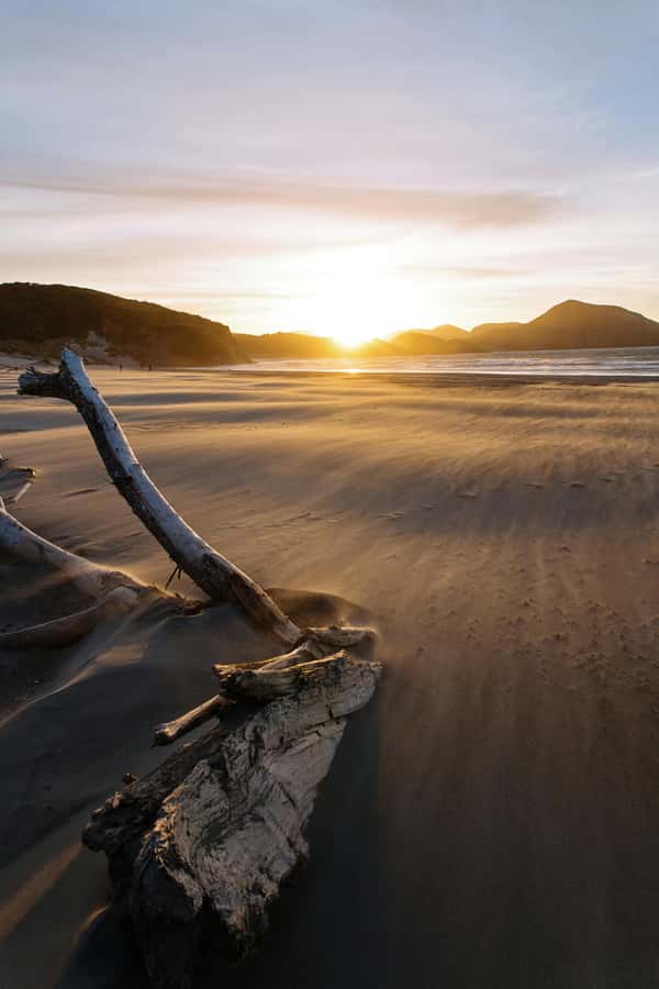 Auckland: Mt. Eden, Piha Beach & Karekare Private Tour - Starting above Auckland at Mt. Eden