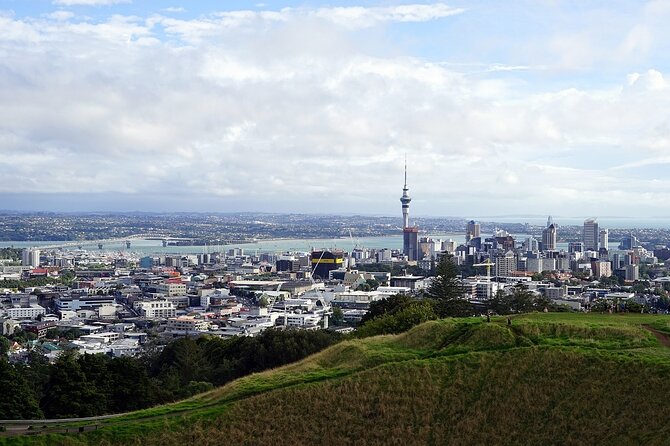 Auckland Museum and Highlight Sightseeing Tour - Who should book this Auckland tour?