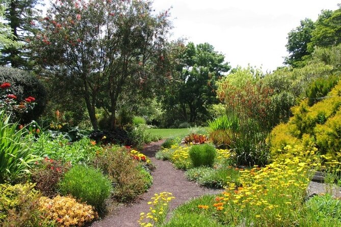 Auckland Nature Tour - Ayrlies Garden & Wetlands is worth the time