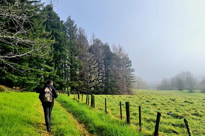 Auckland Nature Tour - My practical verdict