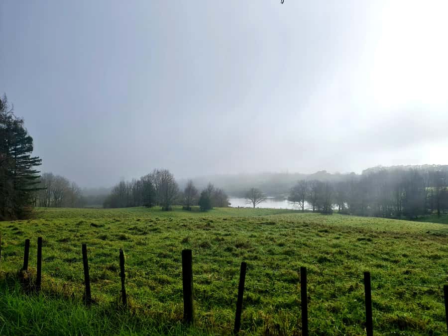 Auckland Nature Tour - What makes this tour different from a standard city tour