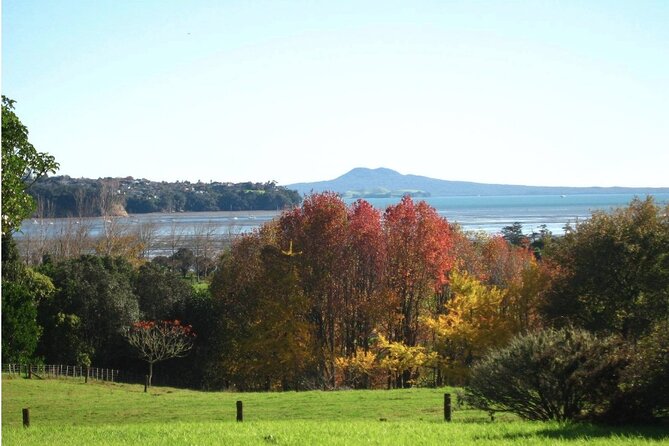 Auckland Nature Tour - Ayrlies Garden and Wetlands, two hours among plants and water