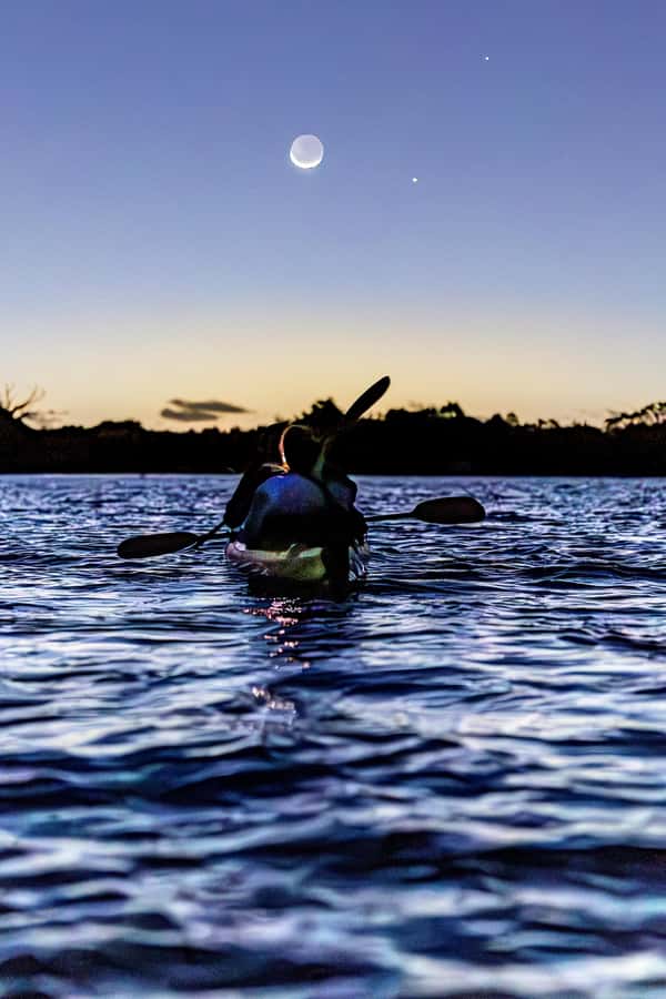 Auckland: Night Kayak Tour in Glowing Bioluminescent Waters - Blue sparks in Auckland’s coastal darkness