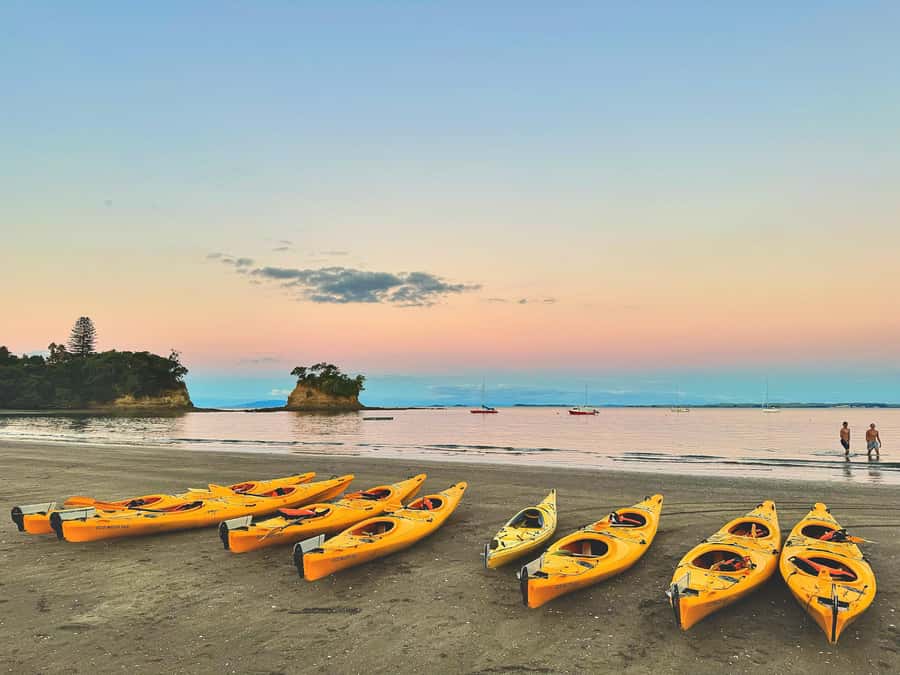 Auckland: Night Kayak Tour in Glowing Bioluminescent Waters - Who will enjoy this night paddle