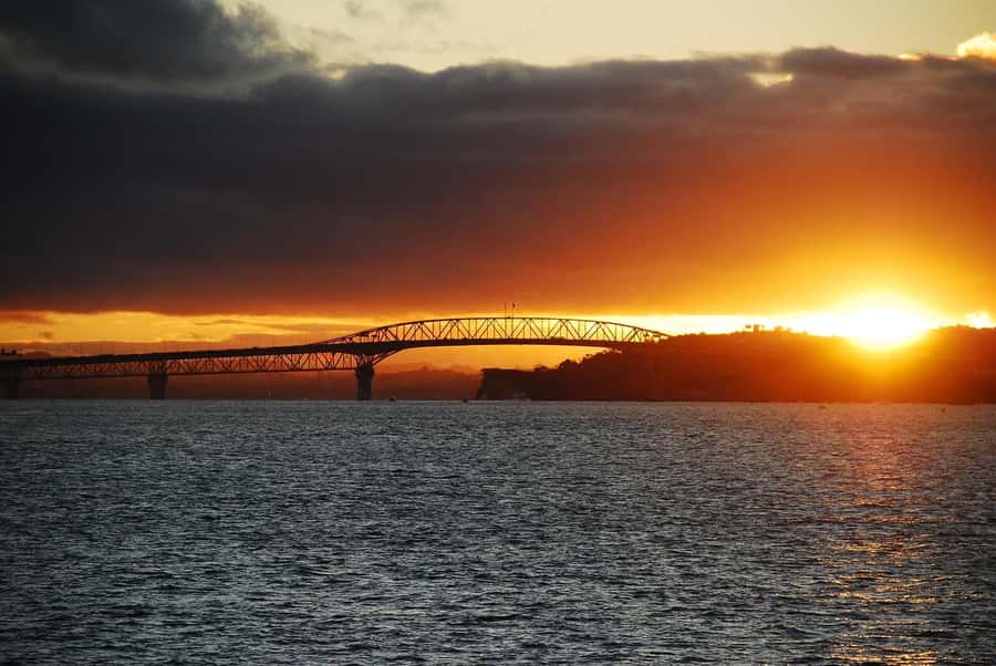 Auckland: Nightlights Harbour Cruise with Canapés and Drink - Key points to know before you book