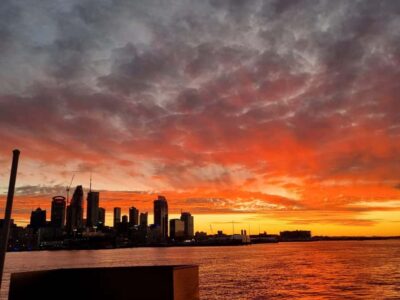 Nightlights Harbour Cruise with Canapés and Drink