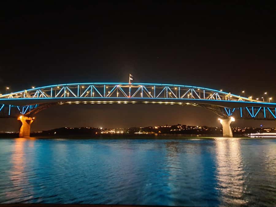 Auckland: Nightlights Harbour Cruise with Canapés and Drink - Canapés, one drink, and the $38 price