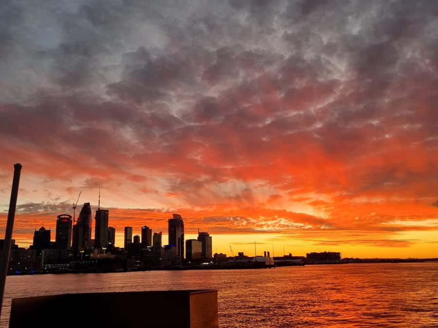 Auckland: Nightlights Harbour Cruise with Canapés and Drink - Boarding at Z Pier in Westhaven Marina