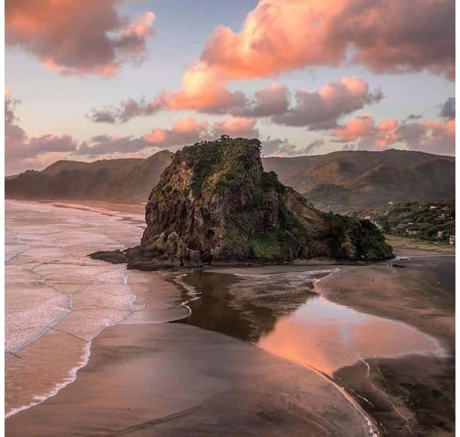 Auckland: Piha Beach, Rainforest, & Mount Eden Private Tour - Key points to know before booking