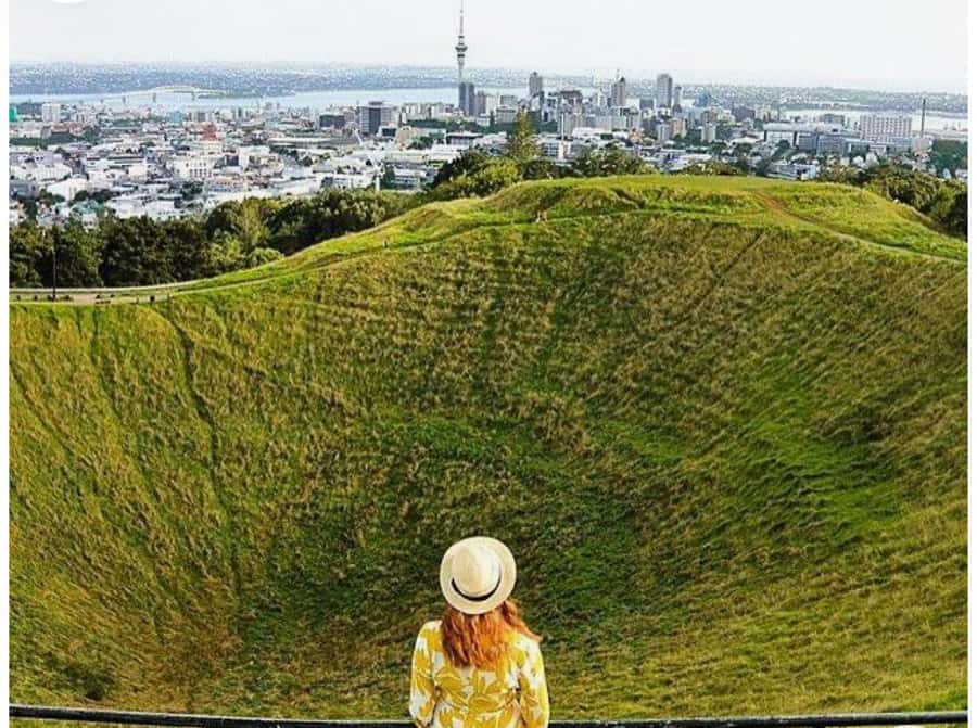 Auckland: Piha Beach, Rainforest, & Mount Eden Private Tour - What the private format adds