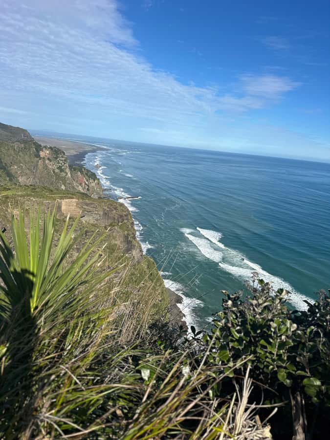Auckland: Piha Beach, Rainforest, & Mount Eden Private Tour - Timing, pickup, and flight-day usefulness