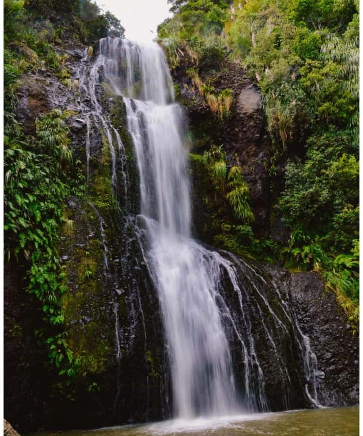Auckland: Piha Beach, Rainforest, & Mount Eden Private Tour - Who will enjoy this tour most