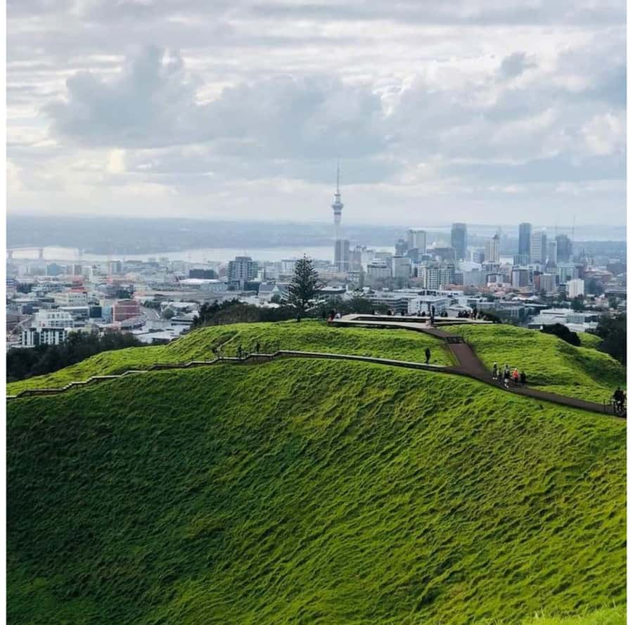 Auckland: Piha Beach, Rainforest, & Mount Eden Private Tour - Arataki Cultural Centre and the Waitākere gateway