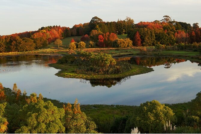 Auckland Private Custom Walking Tour with A Guide (Private Tour) - Booking tips that can improve the day