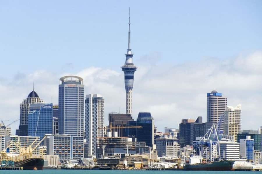 Auckland: Private Customizable Walking Tour with Local Guide - A private way to get your bearings in Auckland