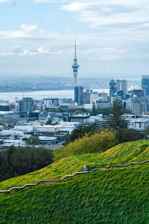 Auckland: Private Walking Tour with a Local - Key points before you book
