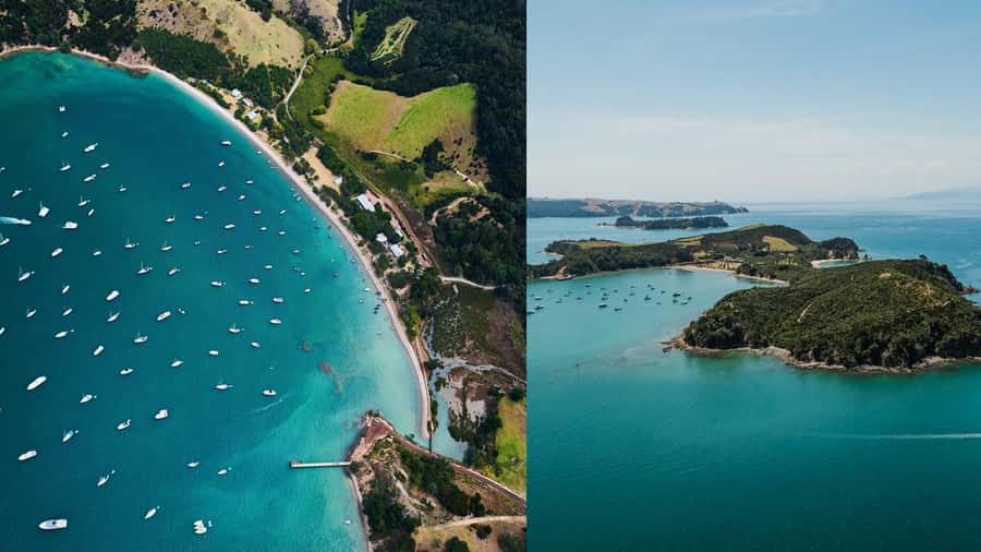 Auckland: Rotoroa Island and Man O'War Vineyard Combo Tour - Two Hauraki Gulf islands in one well-planned day