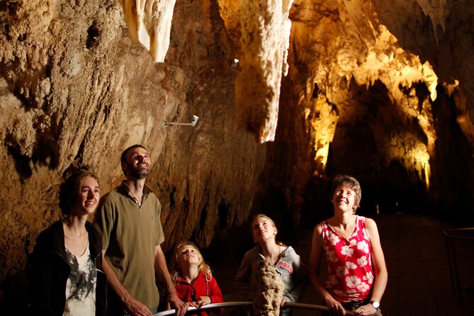 Auckland: Rotorua Māori Village, Waitomo Caves & Lunch - Māori song, dance, and the haka
