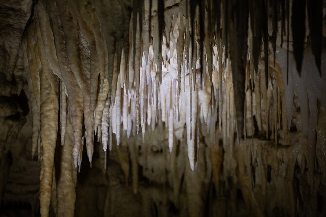 Auckland: Rotorua Māori Village, Waitomo Caves & Lunch - Lunch beside the geothermal steam