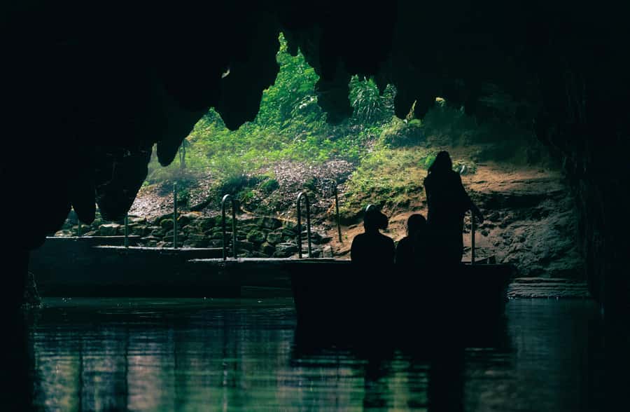 Auckland: Rotorua Māori Village & Waitomo Caves with Lunch - Is $248 a fair price?