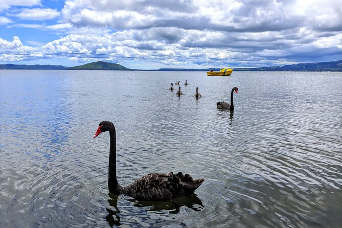 Auckland: Rotorua, Taupo, Waiotapu & Huka Falls Private Trip - The return to Auckland is part of the bargain