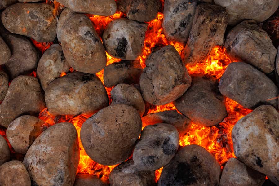 Auckland: Rotorua Tour with Mitai Māori Village & Wai-O-Tapu - Why this Auckland to Rotorua day trip works