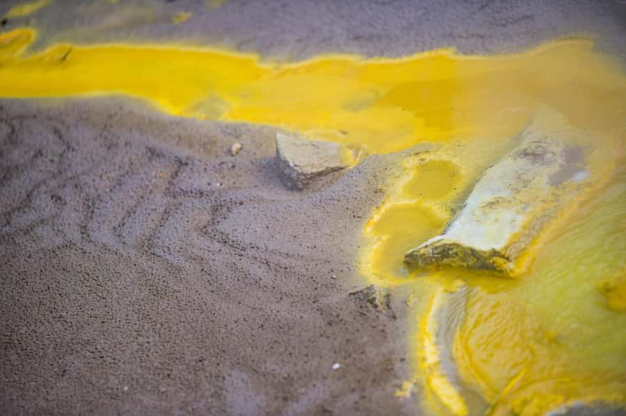 Auckland: Rotorua Tour with Mitai Māori Village & Wai-O-Tapu - Who should book this experience?