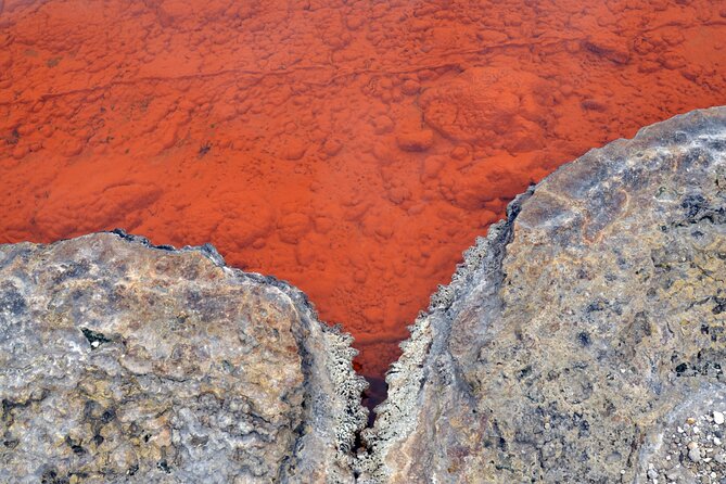 Auckland: Rotorua Tour with Waiotapu, Te Puia and Maori Haka - A short look around Rotorua