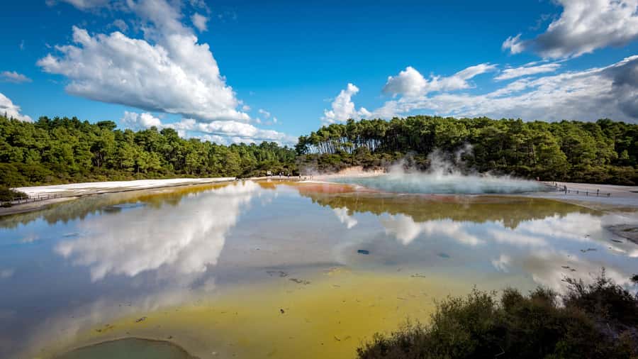 Auckland: Rotorua Wai-O-Tapu, Te Puia with Haka - Key points to know before booking