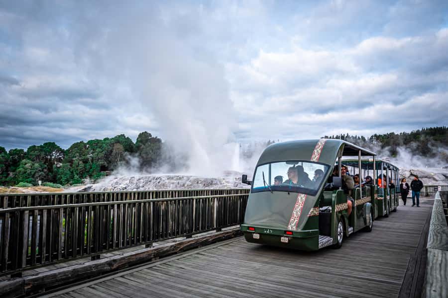 Auckland: Rotorua Wai-O-Tapu, Te Puia with Haka - Food, comfort, and what to bring
