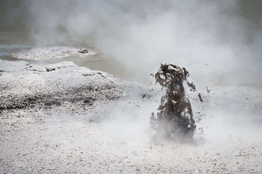 Auckland: Rotorua Wai-O-Tapu, Te Puia with Haka - Who will get the most from this tour